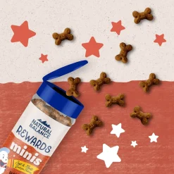 Natural Balance Pet Foods Rewards Minis Soft & Meaty Dog Treats Salmon 5.3-oz
