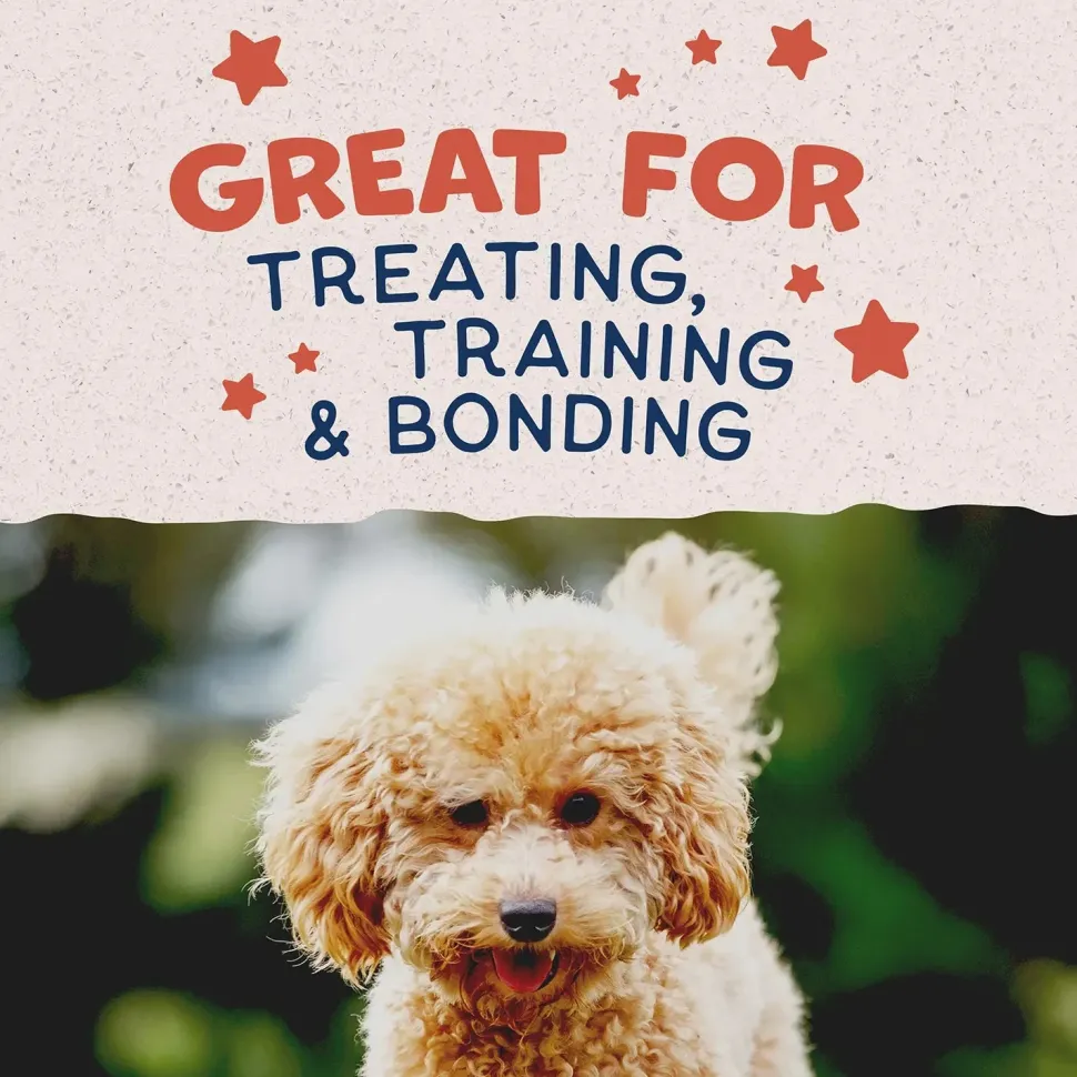 Natural Balance Pet Foods Rewards Minis Soft & Meaty Dog Treats Salmon 5.3-oz