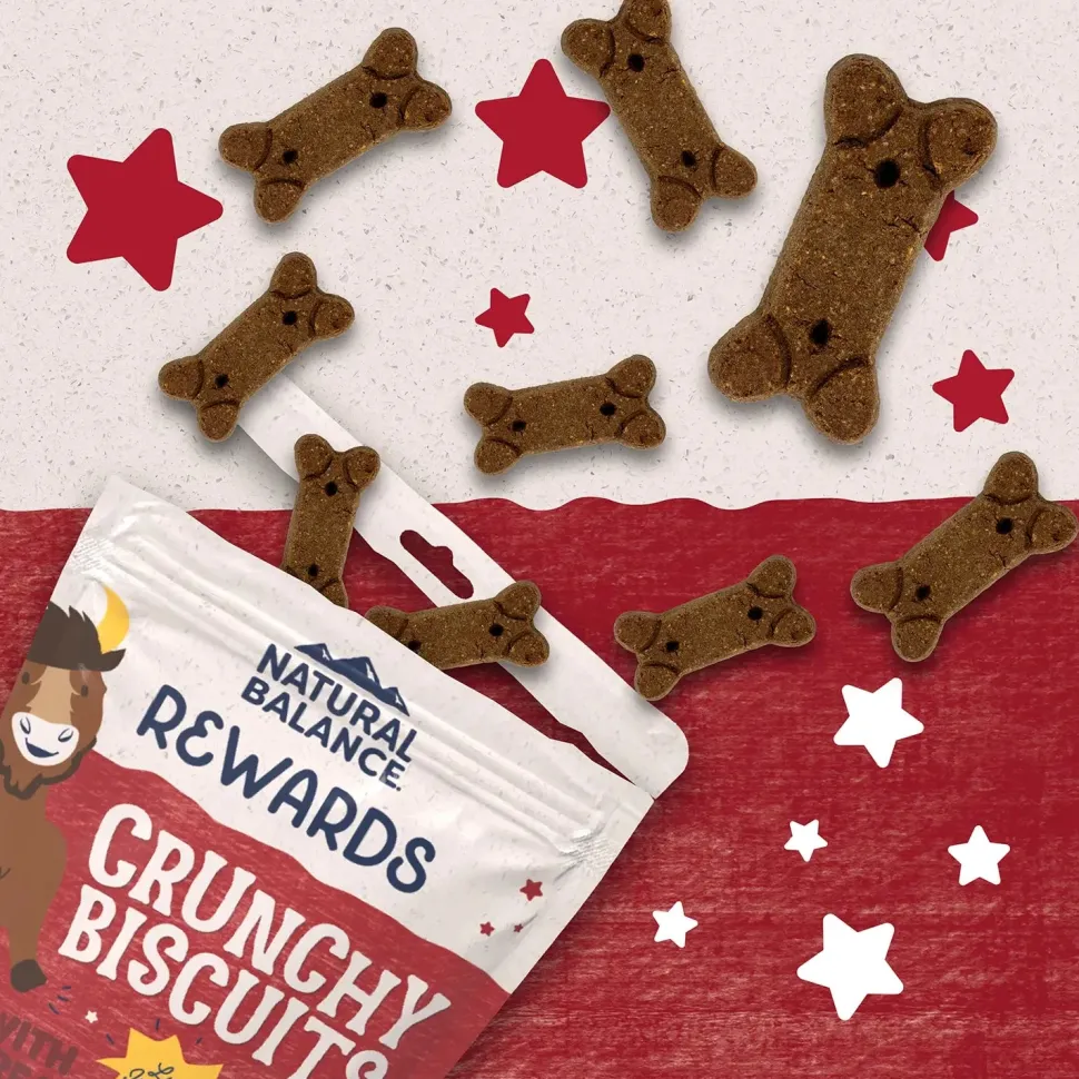 Natural Balance Pet Foods Rewards Crunchy Biscuits Dog Treats Bison 14-oz
