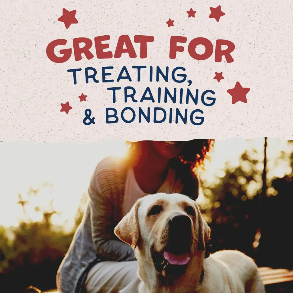 Natural Balance Pet Foods Rewards Crunchy Biscuits Dog Treats Bison 14-oz