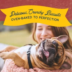 Natural Balance Pet Foods Rewards Crunchy Biscuits Dog Treats Bison 14-oz