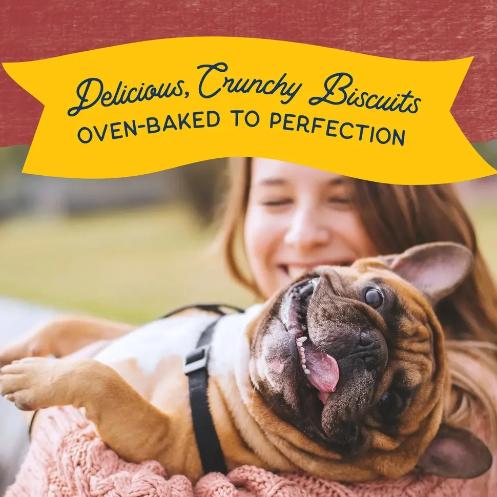 Natural Balance Pet Foods Rewards Crunchy Biscuits Dog Treats Bison 14-oz