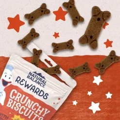 Natural Balance Pet Foods Rewards Crunchy Biscuits Dog Treats Salmon 14-oz