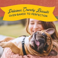 Natural Balance Pet Foods Rewards Crunchy Biscuits Dog Treats Salmon 14-oz