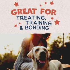Natural Balance Pet Foods Rewards Crunchy Biscuits Dog Treats Salmon 14-oz