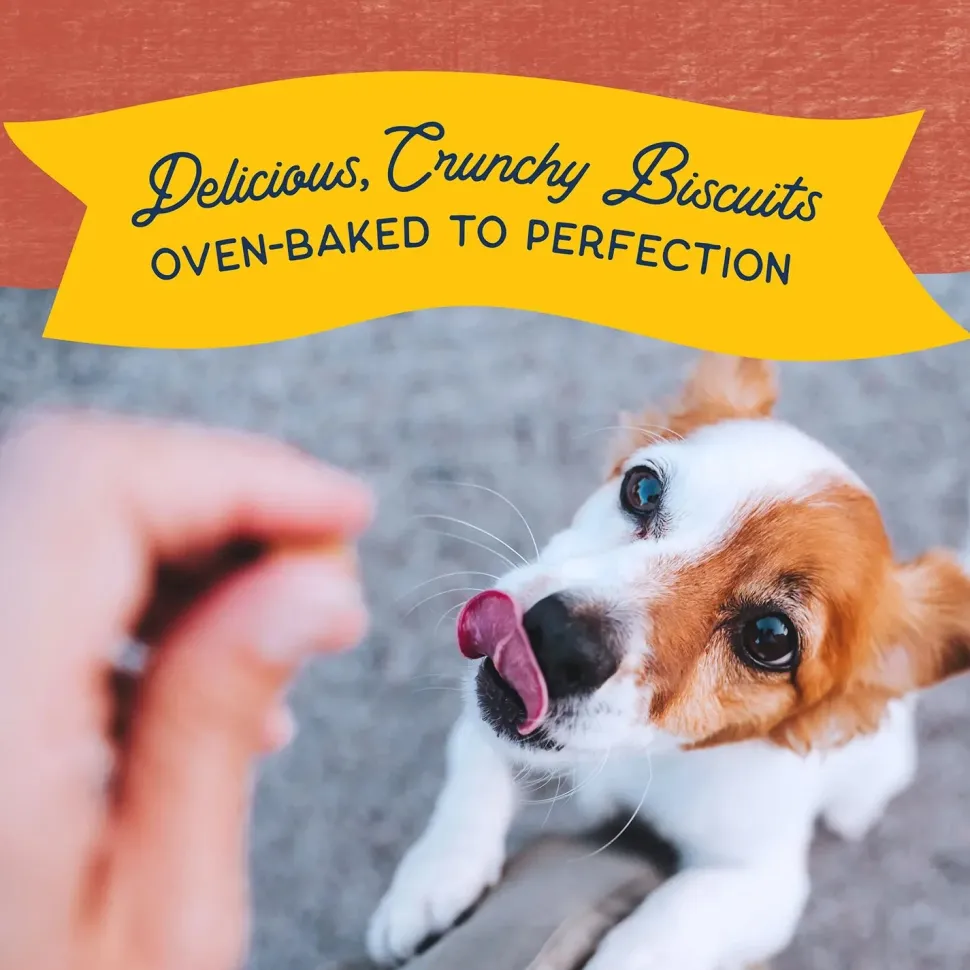 Natural Balance Pet Foods Rewards Bite-Size Crunchy Biscuits Small Breed Dog Treats Salmon 8-oz