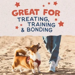 Natural Balance Pet Foods Rewards Bite-Size Crunchy Biscuits Small Breed Dog Treats Salmon 8-oz
