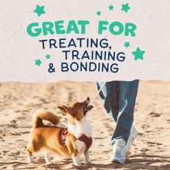 Natural Balance Pet Foods Rewards Bite-Size Crunchy Biscuits Small Breed Dog Treats Chicken 8-oz