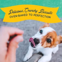 Natural Balance Pet Foods Rewards Bite-Size Crunchy Biscuits Small Breed Dog Treats Chicken 8-oz