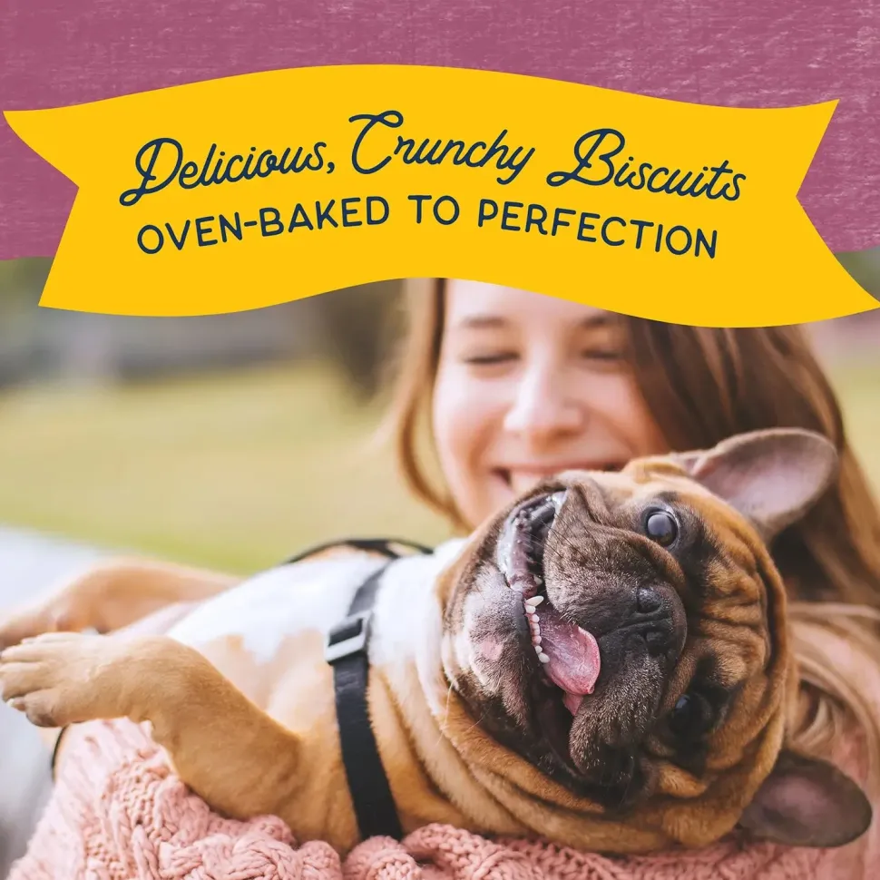 Natural Balance Pet Foods Rewards Crunchy Biscuits Dog Treats Venison 14-oz