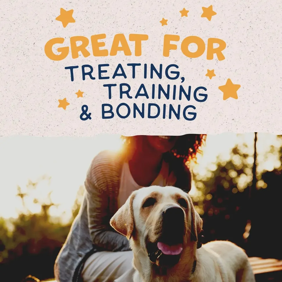 Natural Balance Pet Foods Rewards Crunchy Biscuits Dog Treats Duck 28-oz