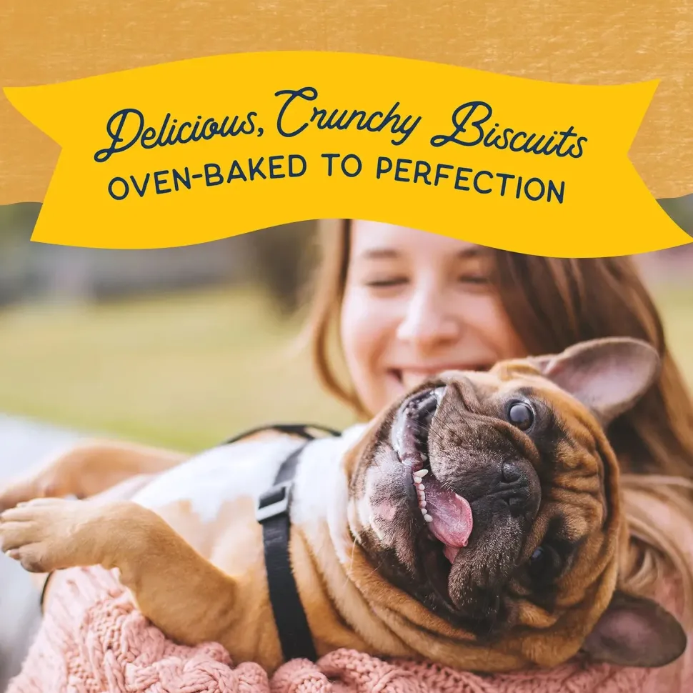 Natural Balance Pet Foods Rewards Crunchy Biscuits Dog Treats Duck 28-oz