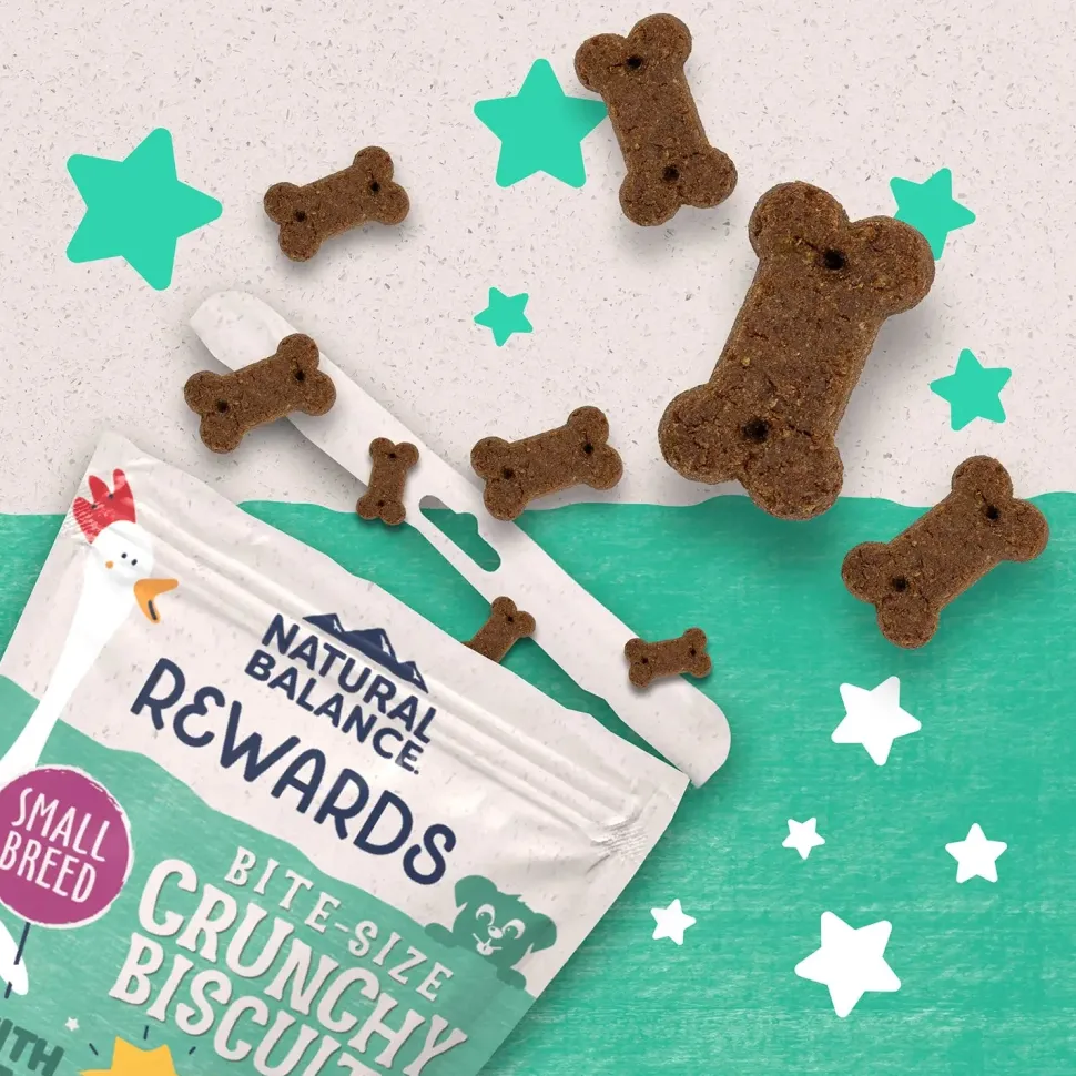 Natural Balance Pet Foods Rewards Crunchy Biscuits Dog Treats Chicken 14-oz