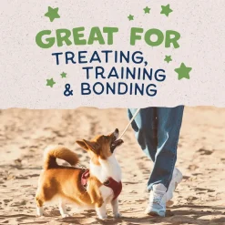 Natural Balance Pet Foods Rewards Bite-Size Crunchy Biscuits Small Breed Dog Treats Peanut Butter 8-oz