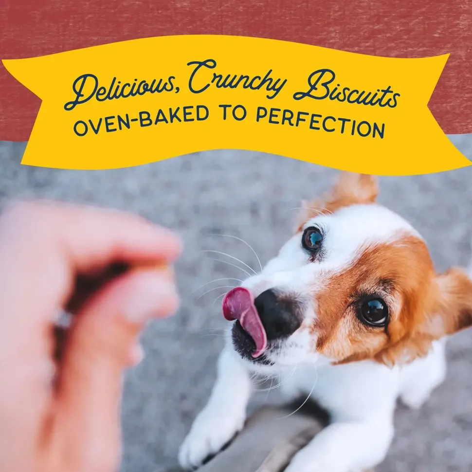 Natural Balance Pet Foods Rewards Bite-Size Crunchy Biscuits Small Breed Dog Treats Bison 8-oz