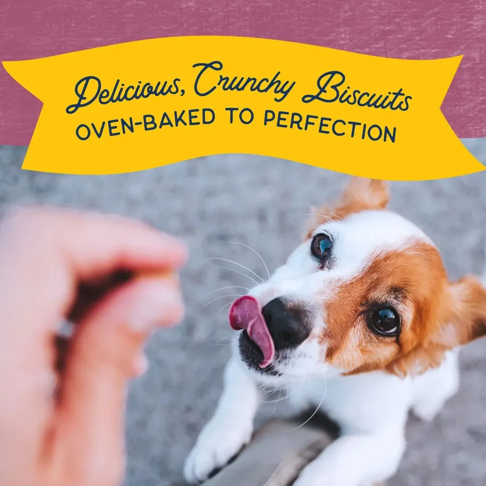 Natural Balance Pet Foods Rewards Bite-Size Crunchy Biscuits Small Breed Dog Treats Venison 8-oz