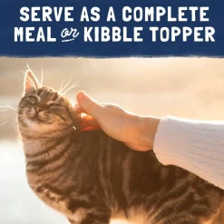 Natural Balance Ultra Platefulls Chicken Morsels in Gravy Adult Wet Cat Food Variety Pack 3-oz Pouches 12 Count