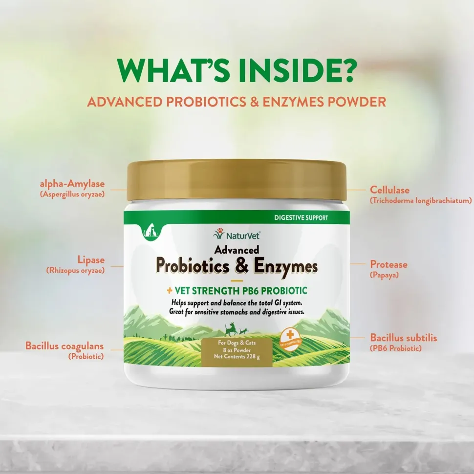 NaturVet Advanced Probiotic & Enzymes Powder for Dogs & Cats 8-oz
