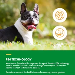 NaturVet Advanced Probiotics & Enzymes Dog Soft Chews 70 Count 5.9-oz
