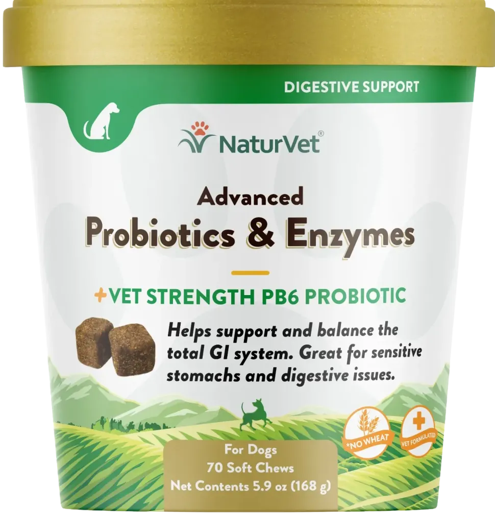 NaturVet Advanced Probiotics & Enzymes Dog Soft Chews 70 Count 5.9-oz