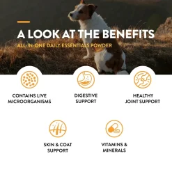 NaturVet All-in-One Daily Essentials Powder for Dogs & Cats 13-oz