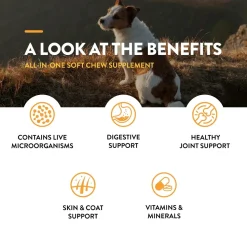 NaturVet All-in-One Soft Chews for Dogs 60 Count 8.4-oz