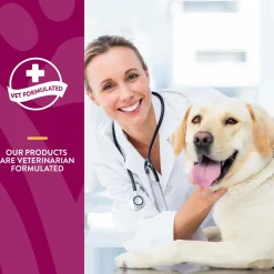 NaturVet ArthriSoothe-GOLD Level 3 Time Release Chewable Tablets for Dogs & Cats 40 Count 7-oz