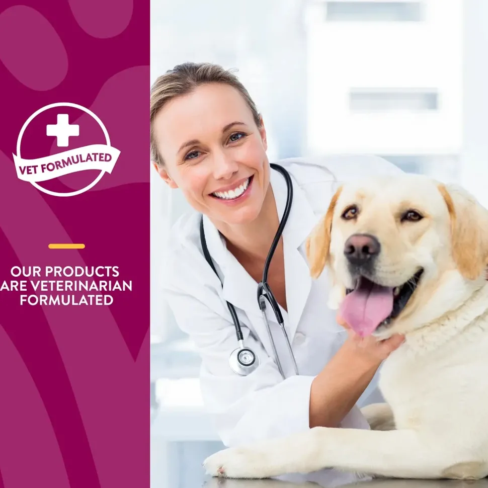 NaturVet ArthriSoothe-GOLD Level 3 Soft Chews for Dogs & Cats 70 Count 5.9-oz
