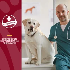 NaturVet Cranberry Relief Plus Echinacea Soft Chews for Dogs 60 Count 6.3-oz