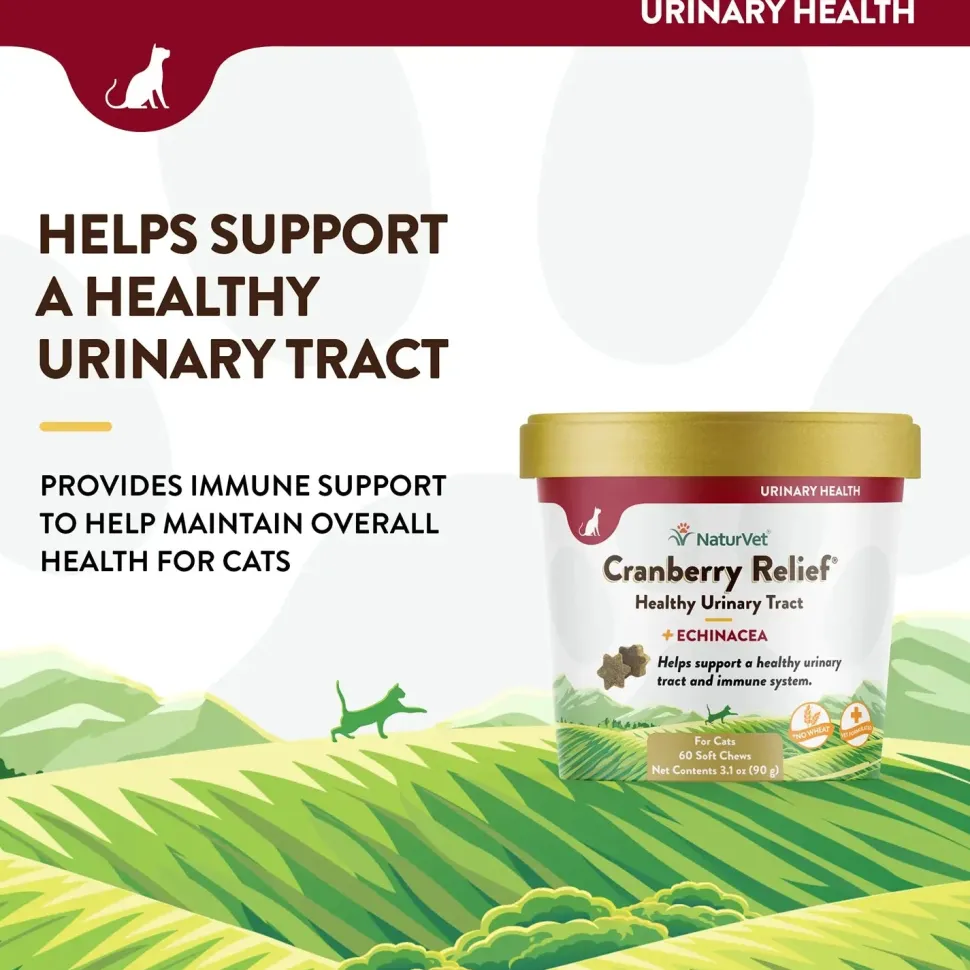 NaturVet Cranberry Relief Plus Echinacea Soft Chews for Cats 60 Count 3.1-oz