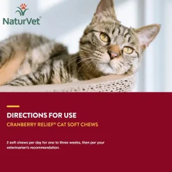 NaturVet Cranberry Relief Plus Echinacea Soft Chews for Cats 60 Count 3.1-oz