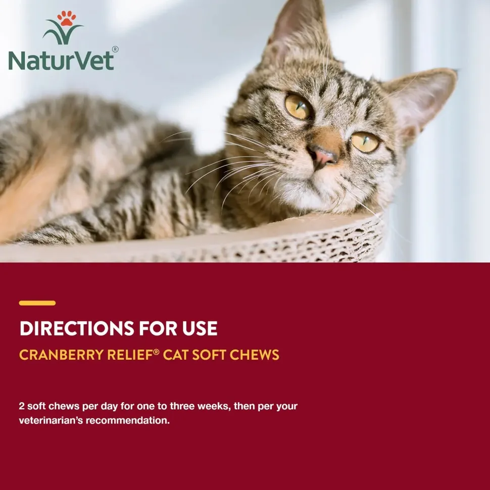 NaturVet Cranberry Relief Plus Echinacea Soft Chews for Cats 60 Count 3.1-oz