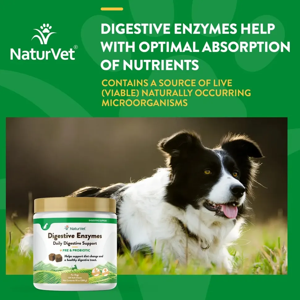 NaturVet Digestive Enzymes Plus Pre and Probiotic Soft Chews for Dogs 120 Count 10-oz