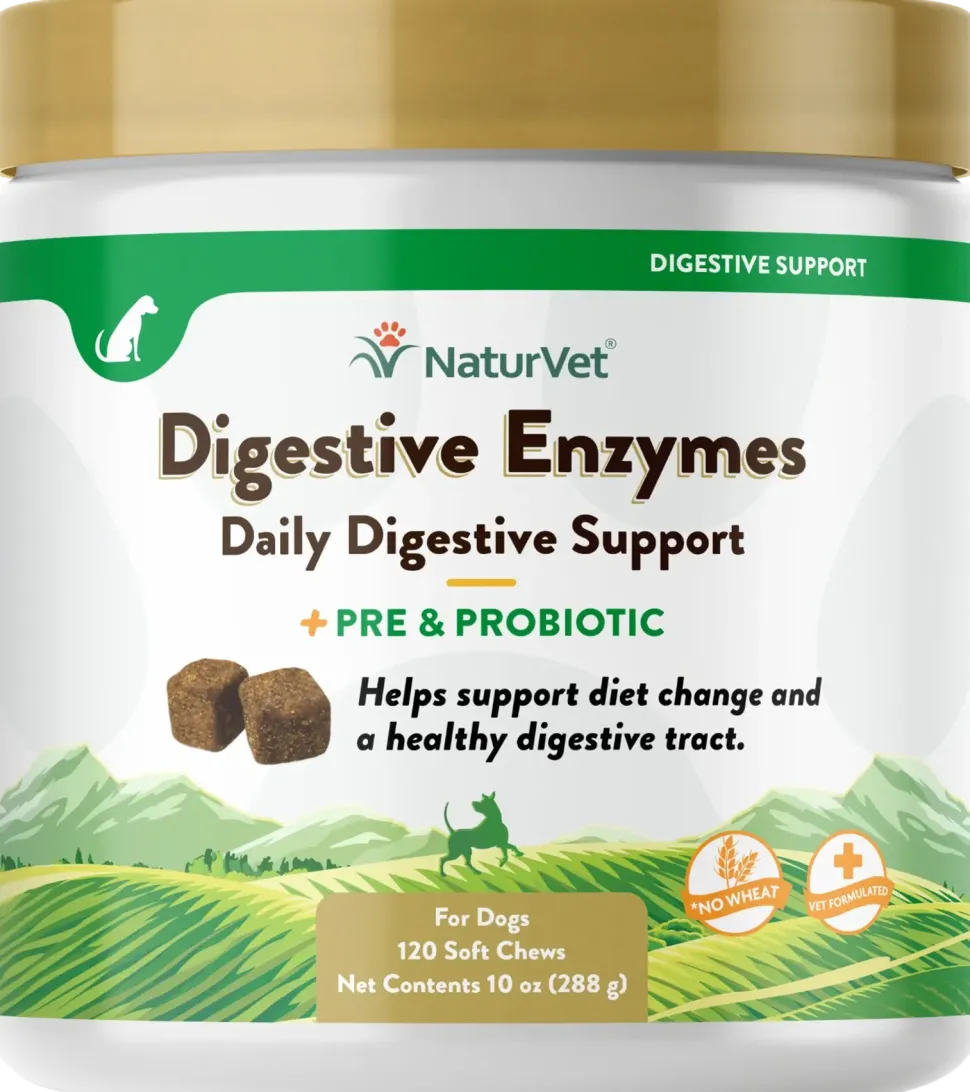 NaturVet Digestive Enzymes Plus Pre and Probiotic Soft Chews for Dogs 120 Count 10-oz
