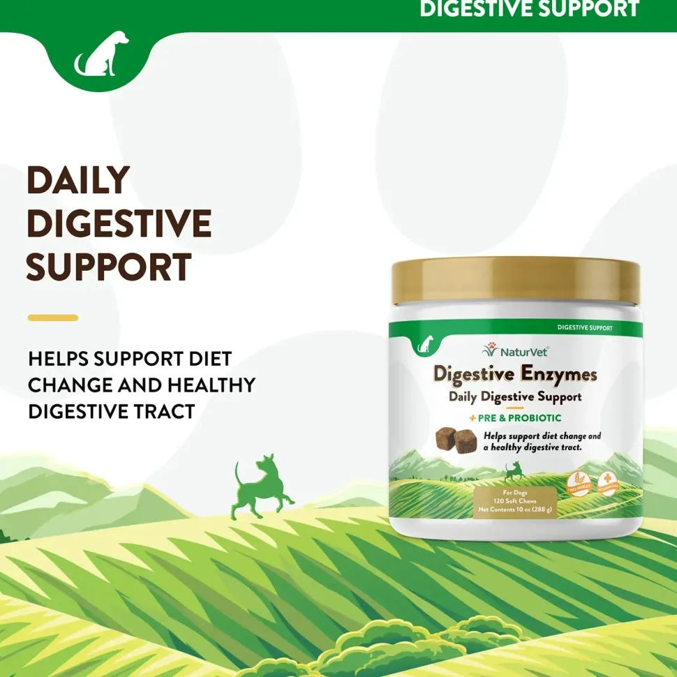 NaturVet Digestive Enzymes Plus Pre and Probiotic Soft Chews for Dogs 120 Count 10-oz