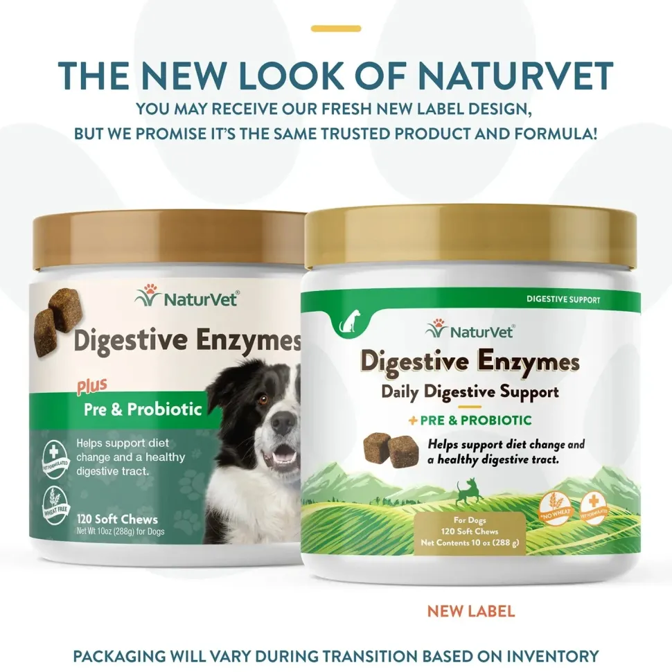 NaturVet Digestive Enzymes Plus Pre and Probiotic Soft Chews for Dogs 120 Count 10-oz