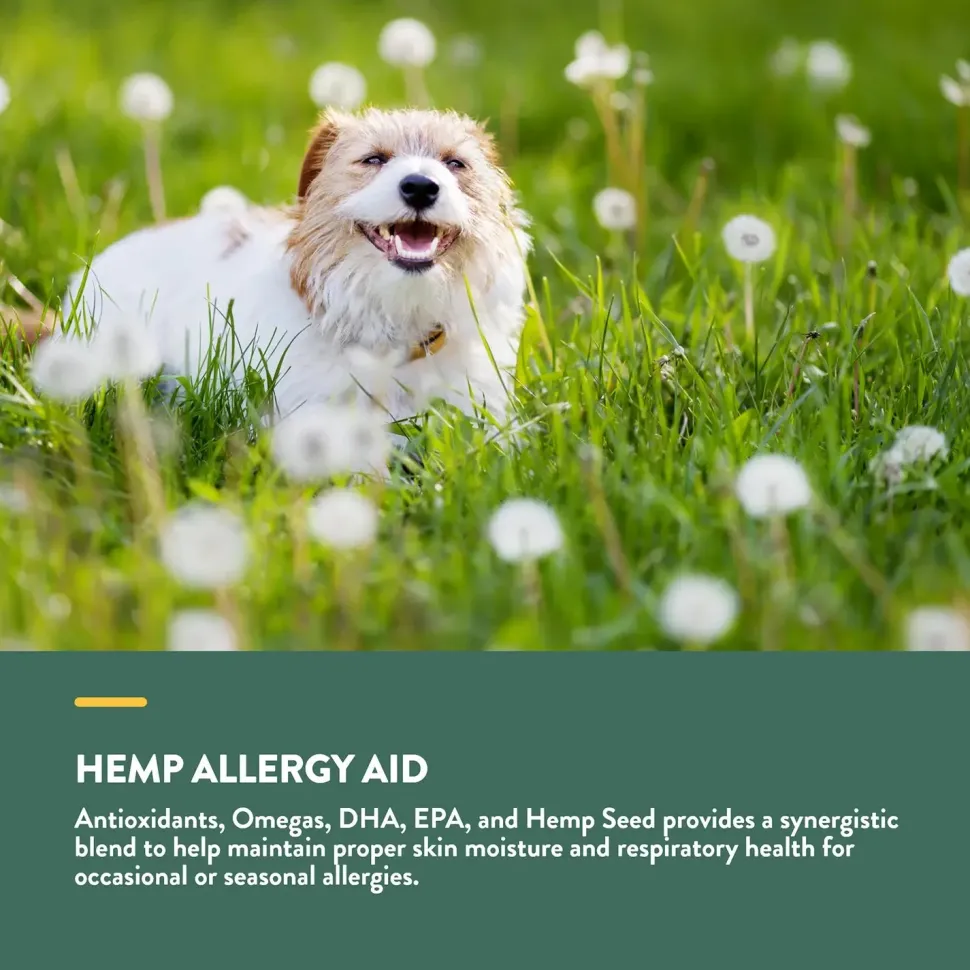 NaturVet Hemp Allergy Aid Soft Chew for Dogs 60 Count 6.3-oz