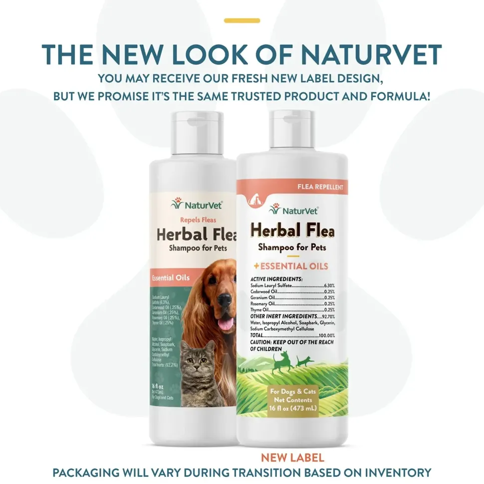 NaturVet Herbal Flea Shampoo w/Essential Oils for Dogs & Cats 16-oz
