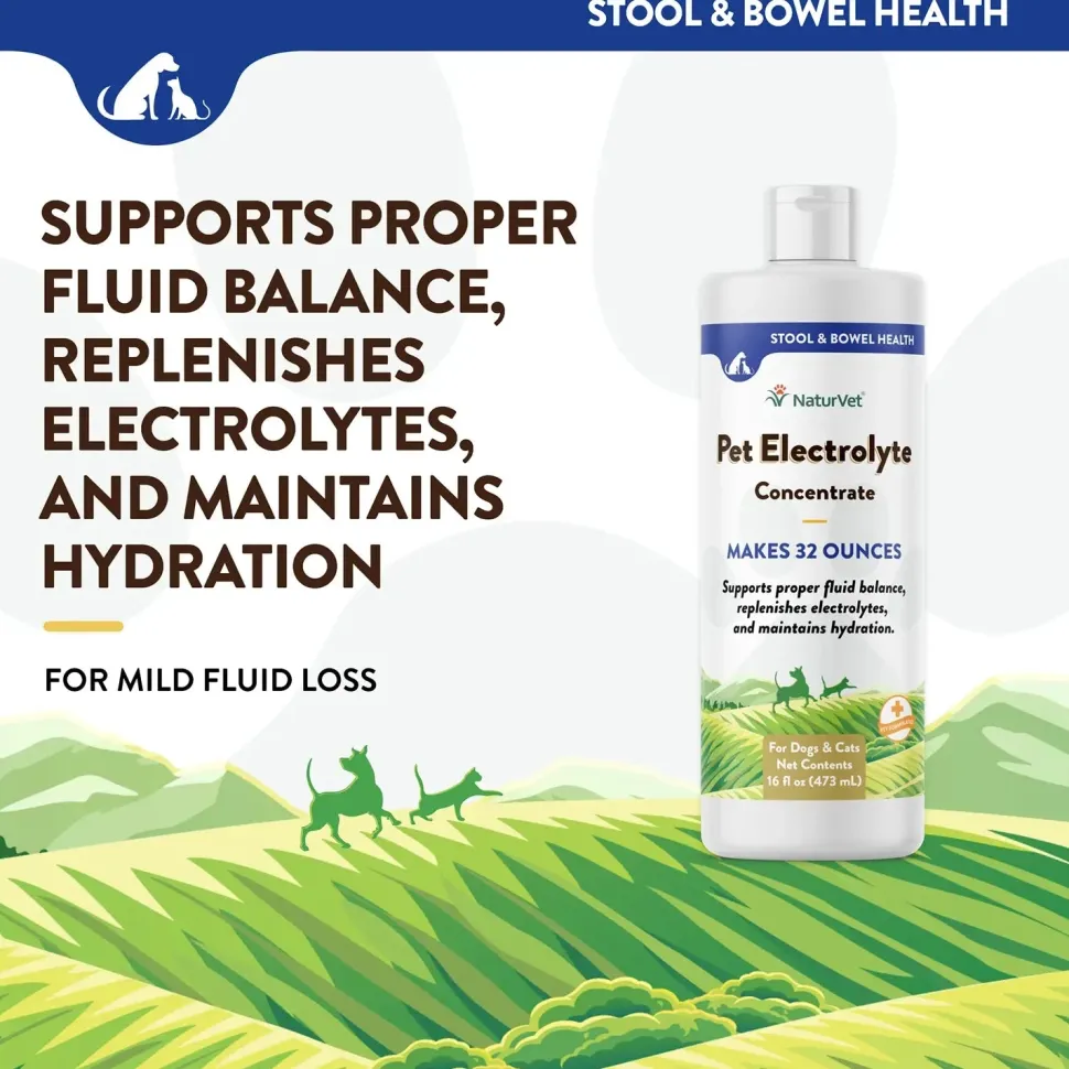 NaturVet Pet Electrolyte Concentrate for Dogs & Cats 16-oz
