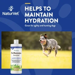 NaturVet Pet Electrolyte Concentrate for Dogs & Cats 16-oz