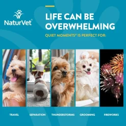 NaturVet Quiet Moments Calming Aid Plus Melatonin Soft Chews for Dogs 70 Count 5.4-oz