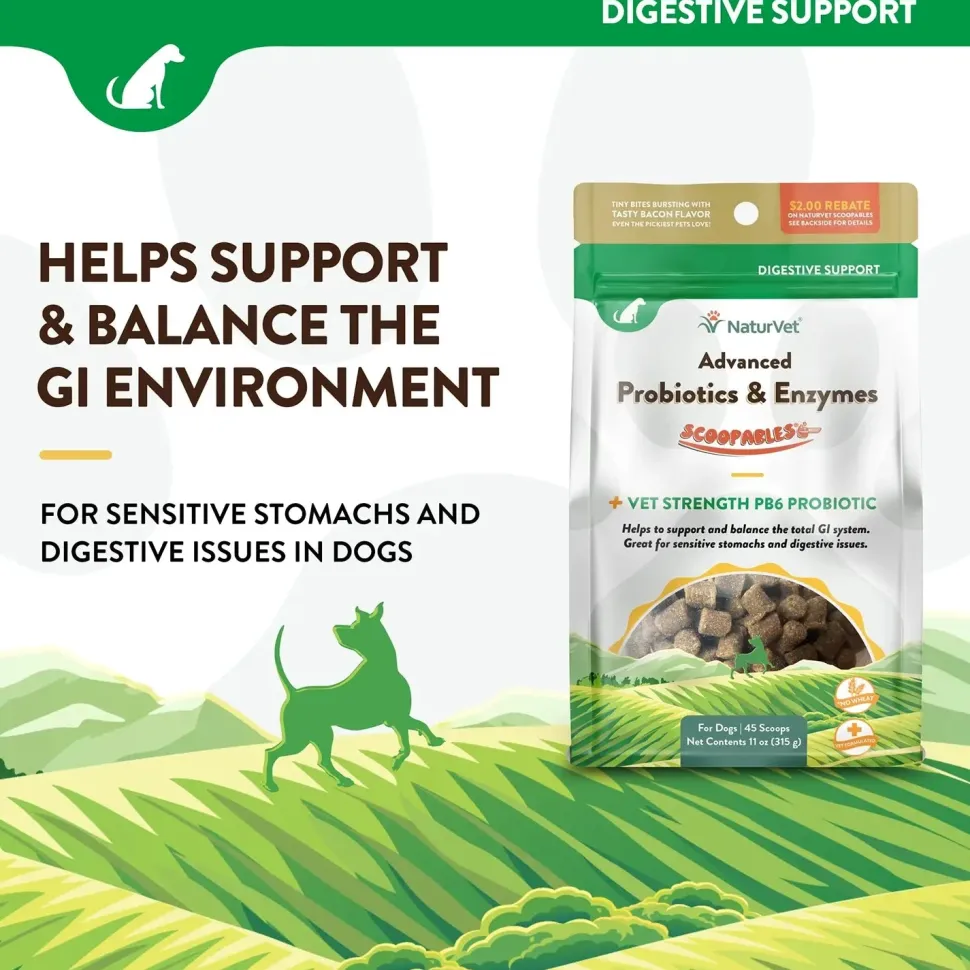 NaturVet Scoopables Advanced Probiotics & Enzymes for Dogs 45 Count 11-oz