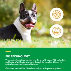 NaturVet Scoopables Advanced Probiotics & Enzymes for Dogs 45 Count 11-oz