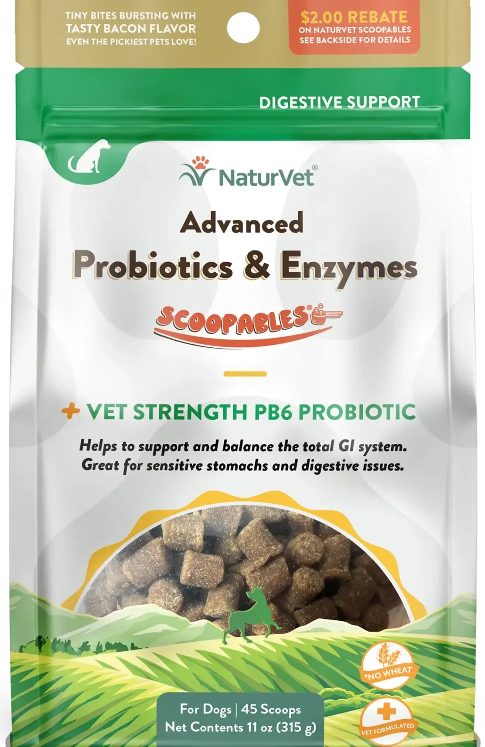 NaturVet Scoopables Advanced Probiotics & Enzymes for Dogs 45 Count 11-oz