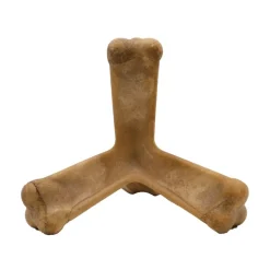N-Bone Quado Interactive Dog Chew Treat for Medium Dogs pumpkin recipe 2.6-oz