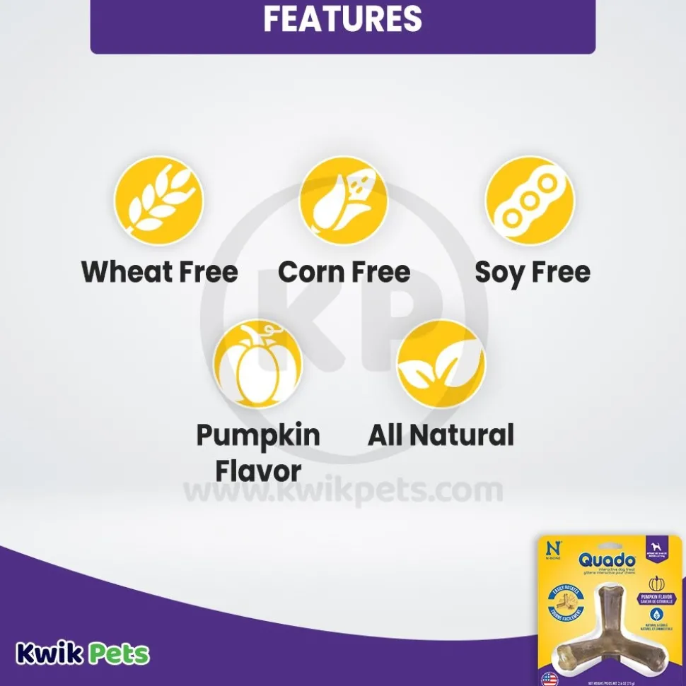 N-Bone Quado Interactive Dog Chew Treat for Medium Dogs pumpkin recipe 2.6-oz