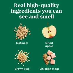 Nutro Crunchy Real Apple Dog Treats 10-oz