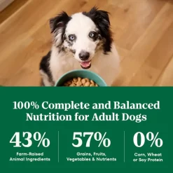 Nutro Natural Choice Beef & Brown Rice Adult Dry Dog Food 4.5-lb