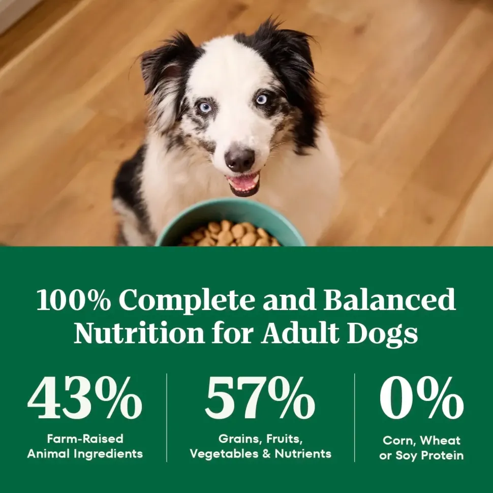 Nutro Natural Choice Beef & Brown Rice Adult Dry Dog Food 4.5-lb