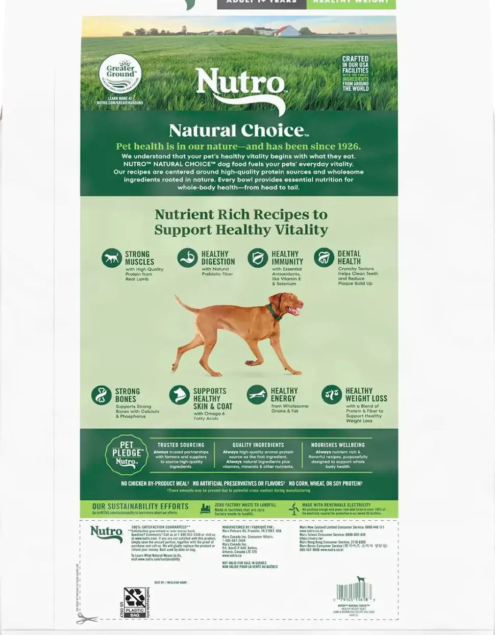 Nutro Natural Choice Beef & Brown Rice Adult Dry Dog Food 4.5-lb